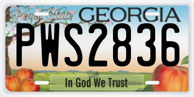 GA license plate PWS2836