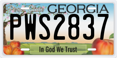 GA license plate PWS2837