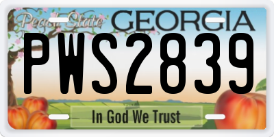 GA license plate PWS2839
