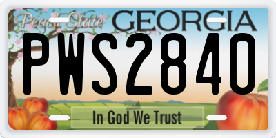 GA license plate PWS2840