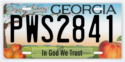 GA license plate PWS2841