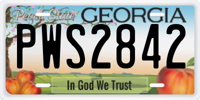 GA license plate PWS2842