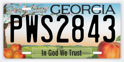 GA license plate PWS2843