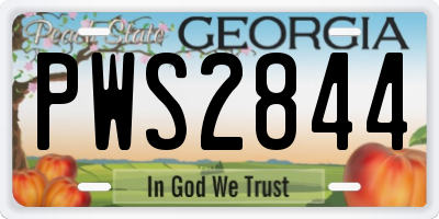 GA license plate PWS2844