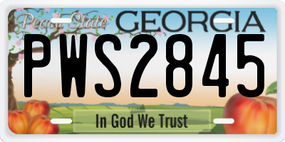 GA license plate PWS2845