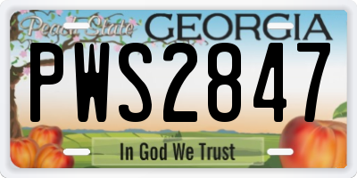 GA license plate PWS2847