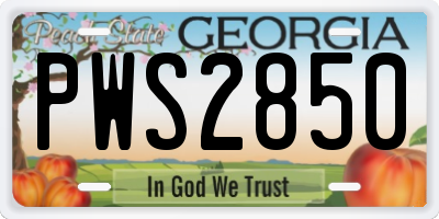 GA license plate PWS2850