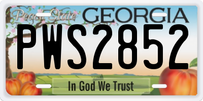 GA license plate PWS2852