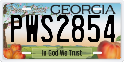 GA license plate PWS2854