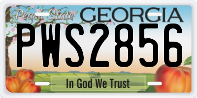 GA license plate PWS2856
