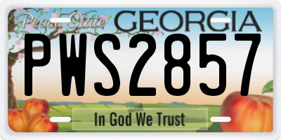 GA license plate PWS2857