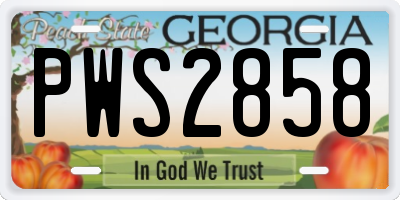 GA license plate PWS2858