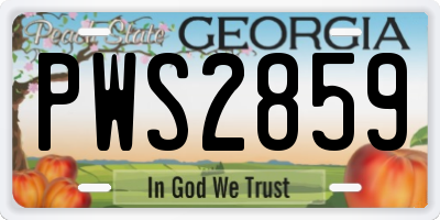 GA license plate PWS2859