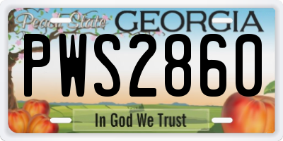 GA license plate PWS2860