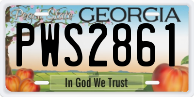 GA license plate PWS2861