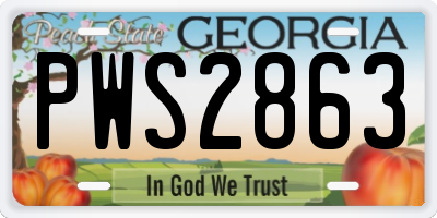 GA license plate PWS2863