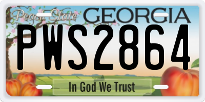 GA license plate PWS2864