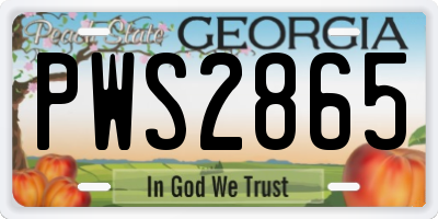 GA license plate PWS2865