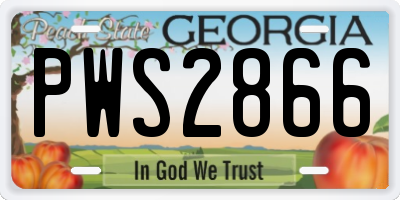 GA license plate PWS2866