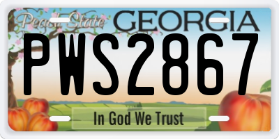 GA license plate PWS2867