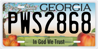 GA license plate PWS2868