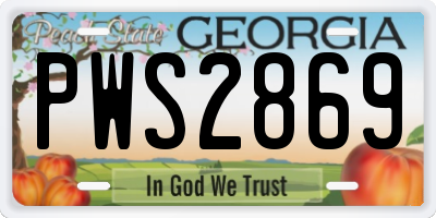 GA license plate PWS2869