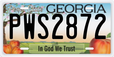 GA license plate PWS2872