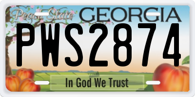 GA license plate PWS2874