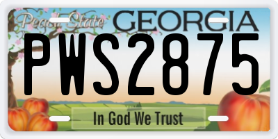 GA license plate PWS2875