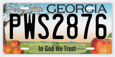 GA license plate PWS2876