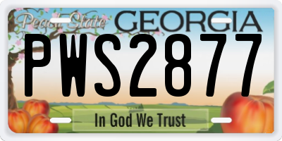 GA license plate PWS2877