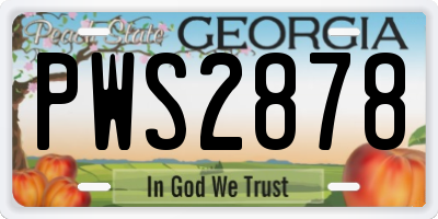 GA license plate PWS2878