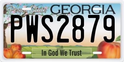 GA license plate PWS2879