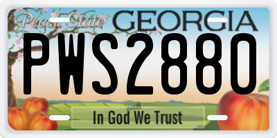 GA license plate PWS2880