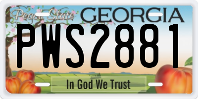 GA license plate PWS2881