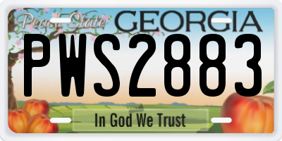 GA license plate PWS2883