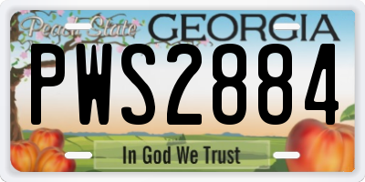 GA license plate PWS2884