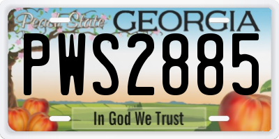 GA license plate PWS2885