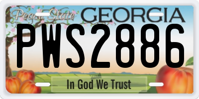 GA license plate PWS2886