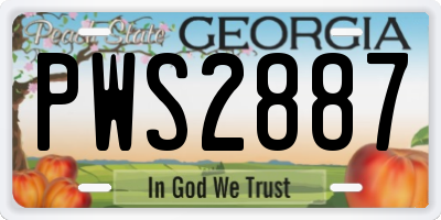 GA license plate PWS2887