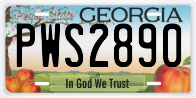 GA license plate PWS2890