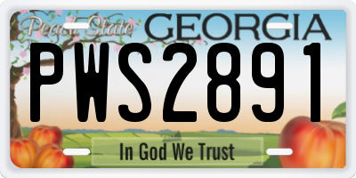 GA license plate PWS2891