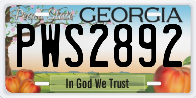 GA license plate PWS2892