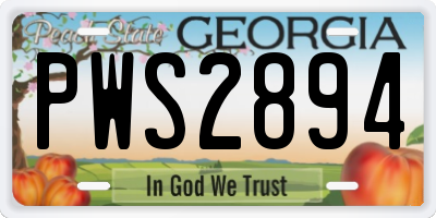 GA license plate PWS2894
