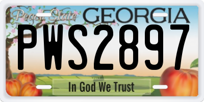 GA license plate PWS2897