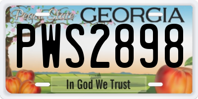 GA license plate PWS2898