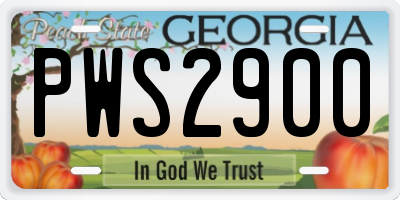 GA license plate PWS2900