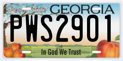 GA license plate PWS2901