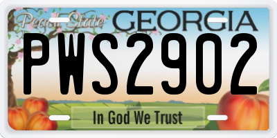 GA license plate PWS2902