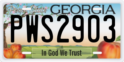 GA license plate PWS2903